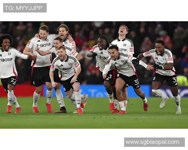 4-0，3-0！英超悲喜夜！热刺黑猫赢球，纽卡遭平，曼城登顶积分榜